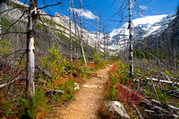 Canada, Canadian Rockies, Rocky Mountains, Travel Photography, Banff, Jasper, Kootenay, Yoho, Alberta, British Columbia, Canadian Travel, Travel, Photography, Nature, Scenics, Landscape Photogrpahy, L