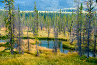 Canada, Canadian Rockies, Rocky Mountains, Travel Photography, Banff, Jasper, Kootenay, Yoho, Alberta, British Columbia, Canadian Travel, Travel, Photography, Nature, Scenics, Landscape Photogrpahy, L