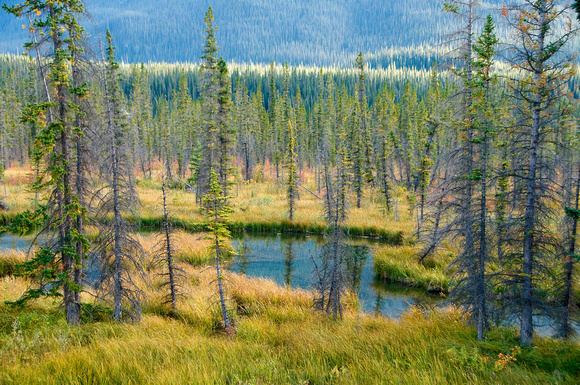 Canada, Canadian Rockies, Rocky Mountains, Travel Photography, Banff, Jasper, Kootenay, Yoho, Alberta, British Columbia, Canadian Travel, Travel, Photography, Nature, Scenics, Landscape Photogrpahy, L